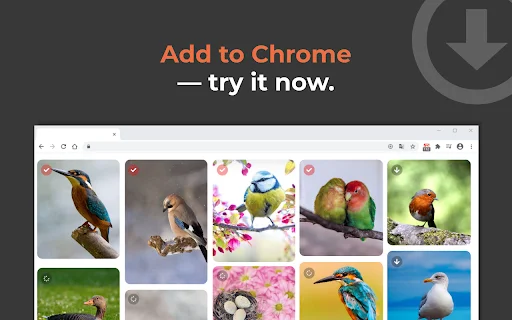 One-click Image Downloader – Grabit | I-download ang Images nang Mabilis - Screenshot 6