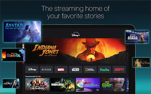 I-download ang Disney+: Manood ng Mga Pelikula at Serye Online - Screenshot 8