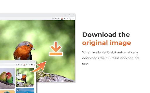 One-click Image Downloader – Grabit | I-download ang Images nang Mabilis - Screenshot 3