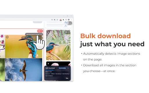 One-click Image Downloader – Grabit | I-download ang Images nang Mabilis - Screenshot 4