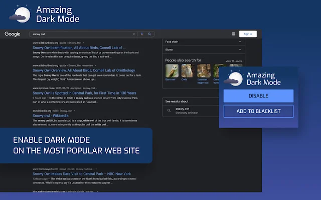 I-download ang Amazing Dark Mode – Dark Mode Para sa Lahat ng Web - Screenshot 1