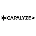 Capalyze: AI Web Scraper – Kunin ang Data sa Excel nang Mabilis
