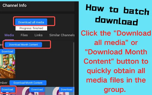 Telegram Video Downloader – I-download ang TG Media nang Mabilis - Screenshot 4