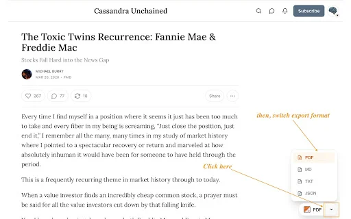 Substack PDF Downloader: I-save ang Substack Articles sa PDF - Screenshot 2