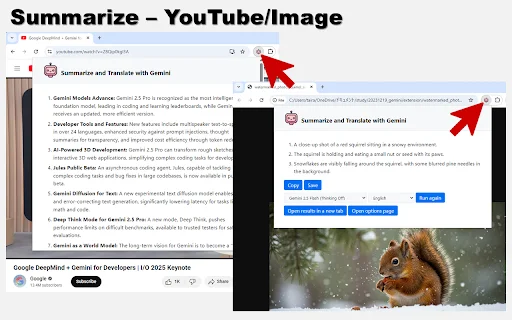 I-download ang Summarize and Translate with Gemini – AI Tool - Screenshot 2