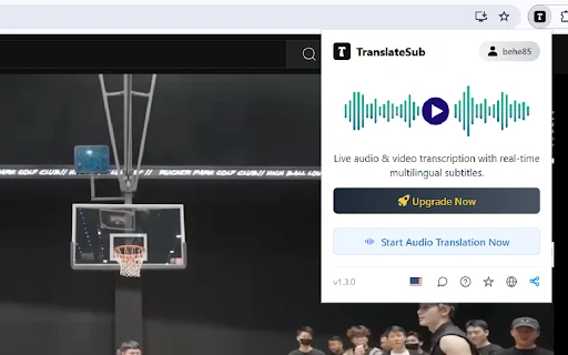 TranslateSub: Real-time Video Transcription at Translation - Screenshot 3