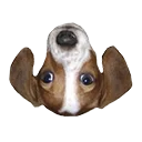 I-download ang FrankerFaceZ – Pinakamahusay na Twitch Extension