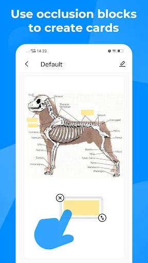 I-download ang Knowlet: Pinakamahusay na Flashcard App para sa Pag-aaral - Screenshot 8