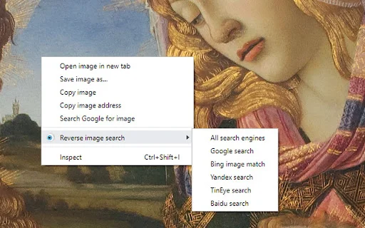 I-download ang RevEye: Pinakamahusay na Reverse Image Search Tool - Screenshot 1