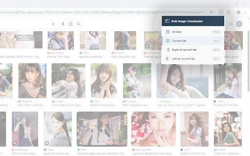 Bulk Image Downloader: I-download ang Lahat ng Larawan sa Isang Click - Screenshot 2
