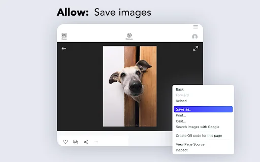 Enable Right Click – I-unblock ang Copy at Paste sa Chrome - Screenshot 2