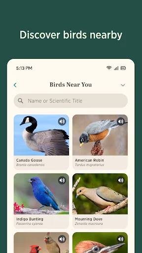 Audubon Bird Guide: Tukuyin ang Higit sa 800 Ibon nang Libre - Screenshot 5