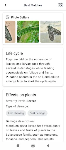 I-download ang Plant disease – Tukuyin ang Sakit ng Halaman Agad - Screenshot 9