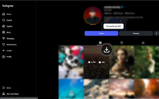 Instagram Downloader: I-download ang Reels, Story, at Video nang Libre - Screenshot 3