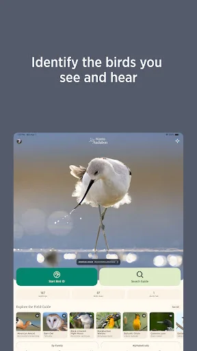 Audubon Bird Guide: Tukuyin ang Higit sa 800 Ibon nang Libre - Screenshot 13