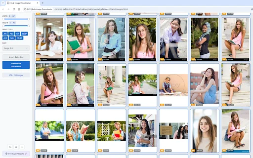 Bulk Image Downloader: I-download ang Lahat ng Larawan sa Isang Click - Screenshot 1