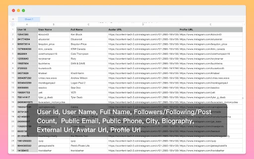 I-download ang Follower Exporter – I-export ang IG Followers nang Libre - Screenshot 3