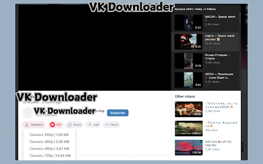 VK Video Downloader – I-download ang VK Videos sa HD nang Libre - Screenshot 1
