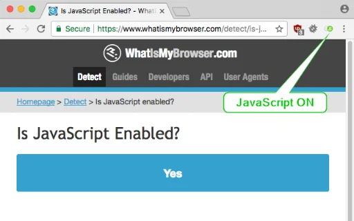 I-download ang Disable JavaScript: Kontrolin ang Iyong Browsing - Screenshot 2