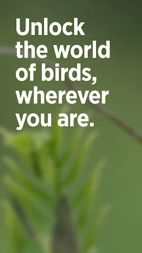 Audubon Bird Guide: Tukuyin ang Higit sa 800 Ibon nang Libre - Screenshot 1