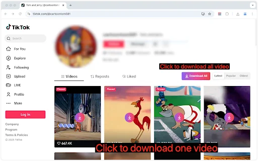 Short Video Downloader: I-download ang Short Videos nang Libre - Screenshot 4