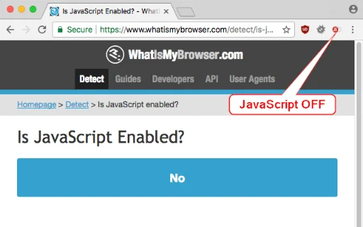 I-download ang Disable JavaScript: Kontrolin ang Iyong Browsing - Screenshot 3